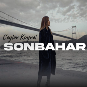 Şahit (feat Suat Erdil)