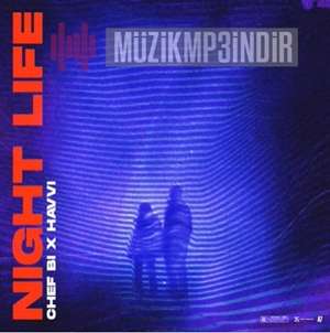Night Life (feat Havvi)