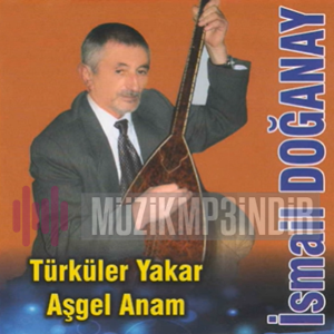Yarim Gider Oduna