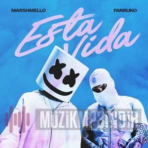 Esta Vida (feat Farukko)