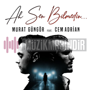 Ah Sen Bilmedin (feat Cem Adrian)