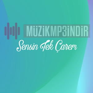 Sensin Tek Çarem (feat Şehzade)