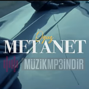 Metanet