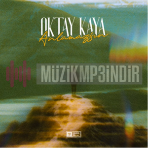 Anlamazsın (Ahmet Taner Remix)