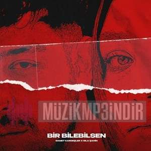 Bir Bilebilsen (feat Sıla Şahin)