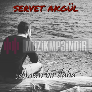 Sevmem Bir Daha (feat Çınar Famylia)