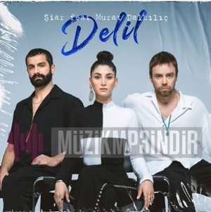Delil (feat Murat Dalkılıç)