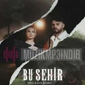 Kara Üzüm Habbesi (feat Seko, İbrahim Tatlıses)