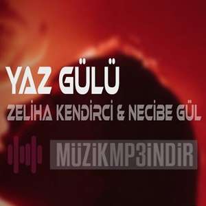 Dans Etmez mi Hallenmez mi (feat Necibe Gül)
