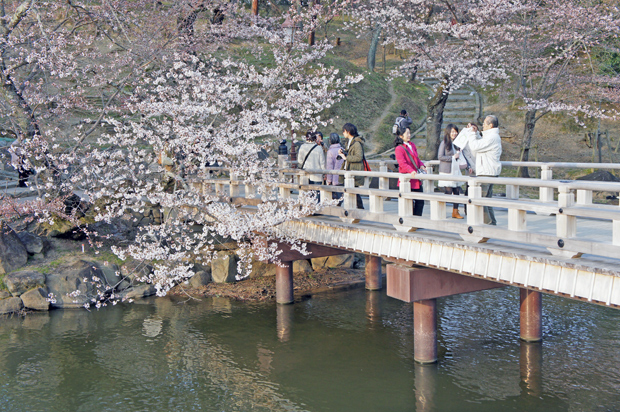 Sakura en Nara