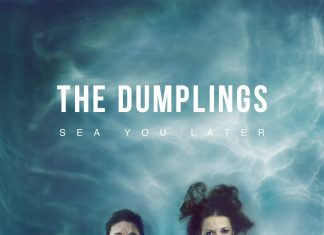 the dumplings