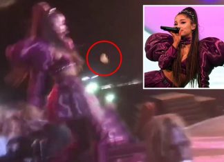Ariana Grande podczas koncertu Wielkanocnego na festiwalu Coachella została obrzucona cytryną
