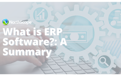 WTH is ERP Software? AKA: What the Heck is Enterprise Resource Planning Software?: A Summary