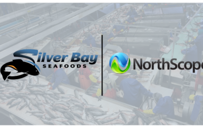 Silver Bay Seafoods Goes Live With Northscope ERP Software at Its Alaska Seafood and California Squid Plants