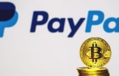 PayPal ile harici cüzdanlara kripto para transfer edilebilecek