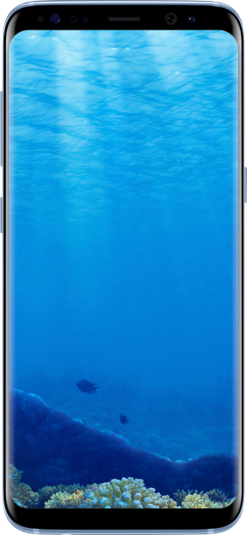Samsung Galaxy S8 (Dual) Resimleri