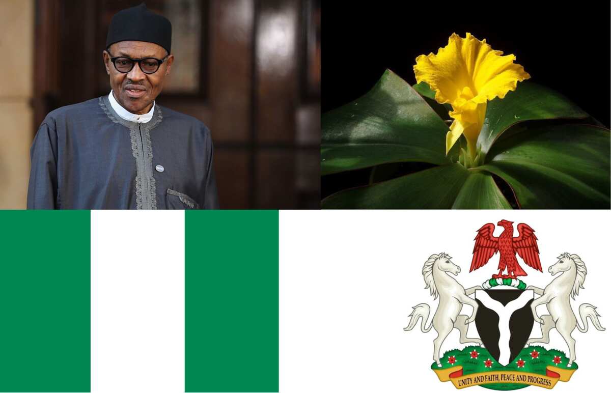 What Are The Nigerian National Symbols And Their Significance