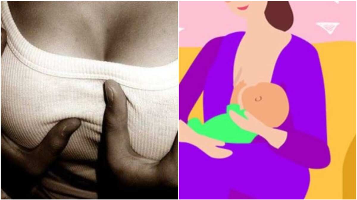 Health is Wealth: Expert Rolls Out 7 Benefits of Massaging Womens Bosoms |  PulseVibe