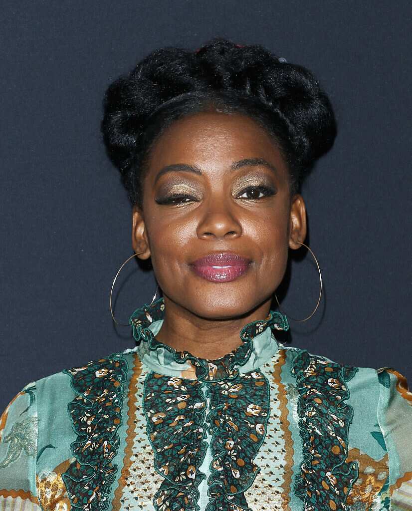 Aunjanue Ellis bio: net worth, partner, movies, Lovecraft Country