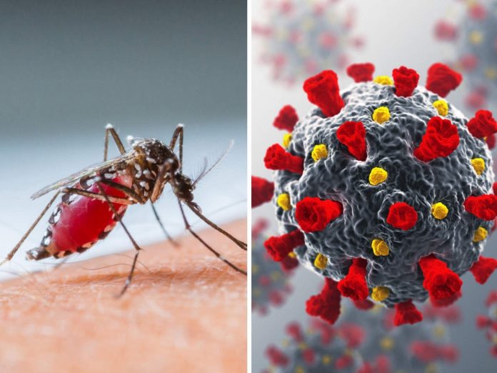 Covid and Dengue - කොවිඩ් වසංගතය හෙතුවෙන් ඩෙංගු වෛරසය වඩාත් භයානක වන්නේ ඇයි?