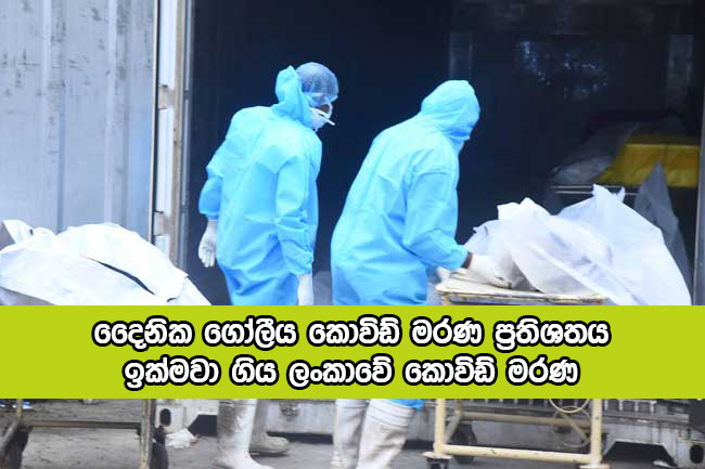 Daily Covid Deaths in Sri Lanka - දෛනික ගෝලීය කොවිඩ් මරණ ප්‍රතිශතය ඉක්මවා ගිය ලංකාවේ කොවිඩ් මරණ