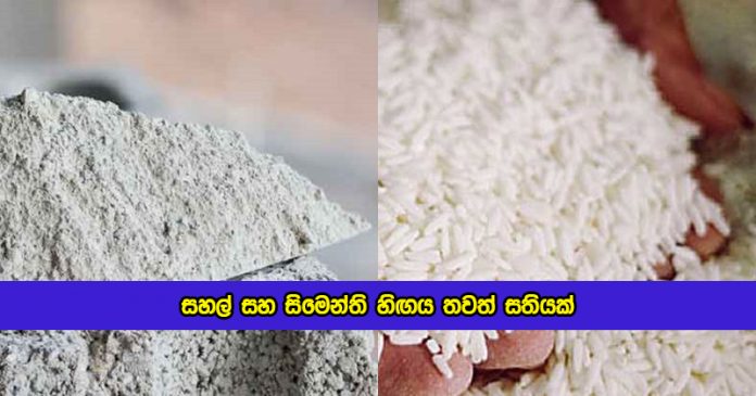 Bandula Gunawardena Statement of Rice and Cement - සහල් සහ සිමෙන්ති හිඟය තවත් සතියක්
