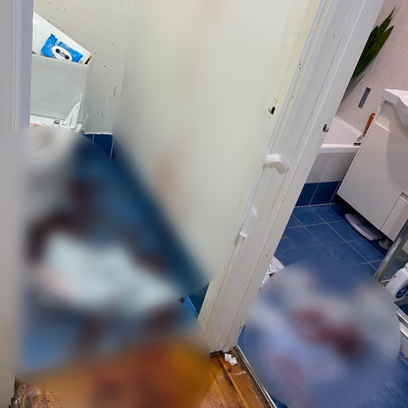 袭击发生后，家里的卫生间里全是少年的血迹。图片来自(photo:NextShark)
