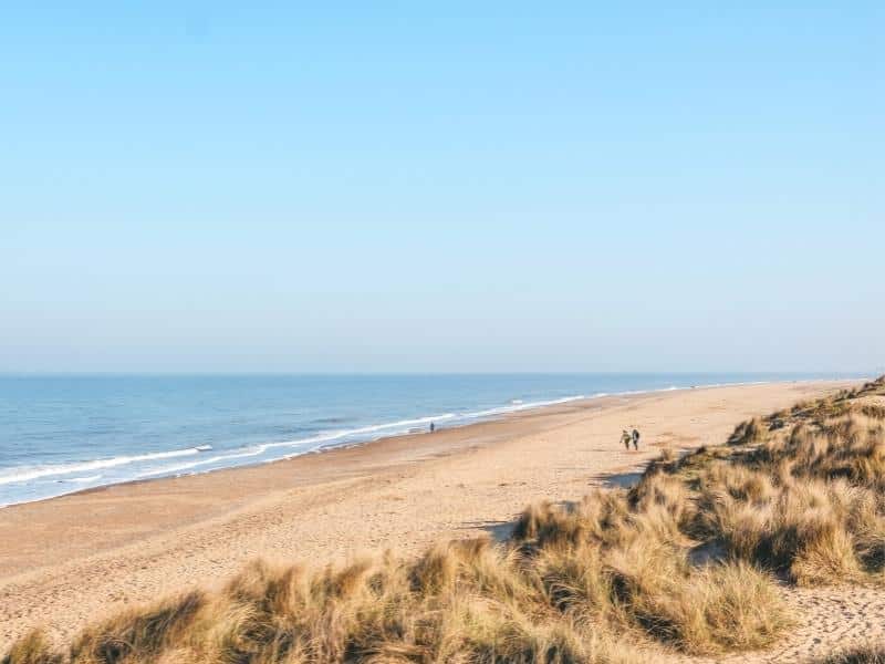 Long sandy beach with grassy dunes and people walking