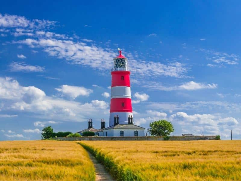 red and white lighthouse in a field of yellow corn, with a blue sky and fluffy clouds