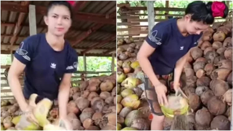 berita viral terbaru: viral pengupas kelapa cantik, pengupas kelapa cantik