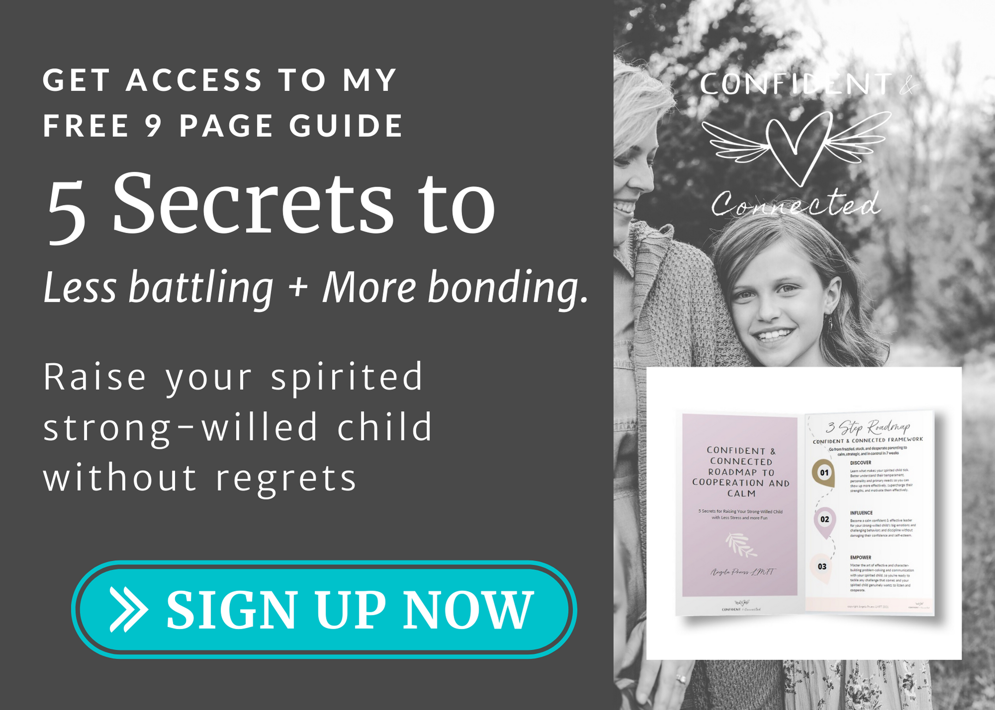 raising a strong willed child guide