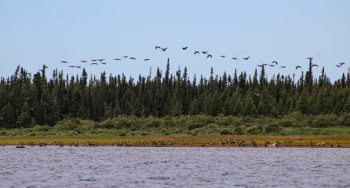 Eeyou Istchee