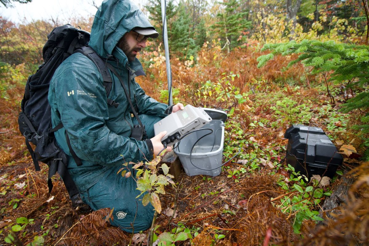 Un employé de Parcs Canada tient un appareil.