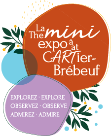 the mini expo logo