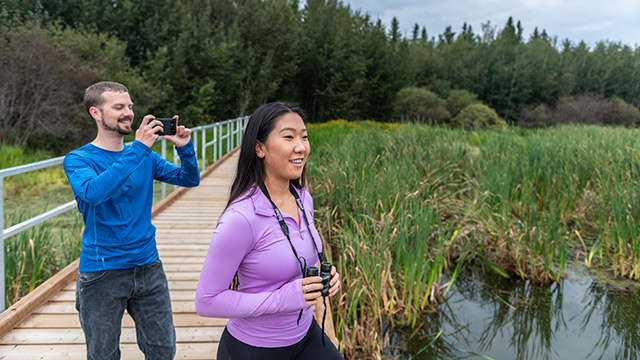 A couple captures photographs from the Living Waters Boardwalk... Elk Island National Park