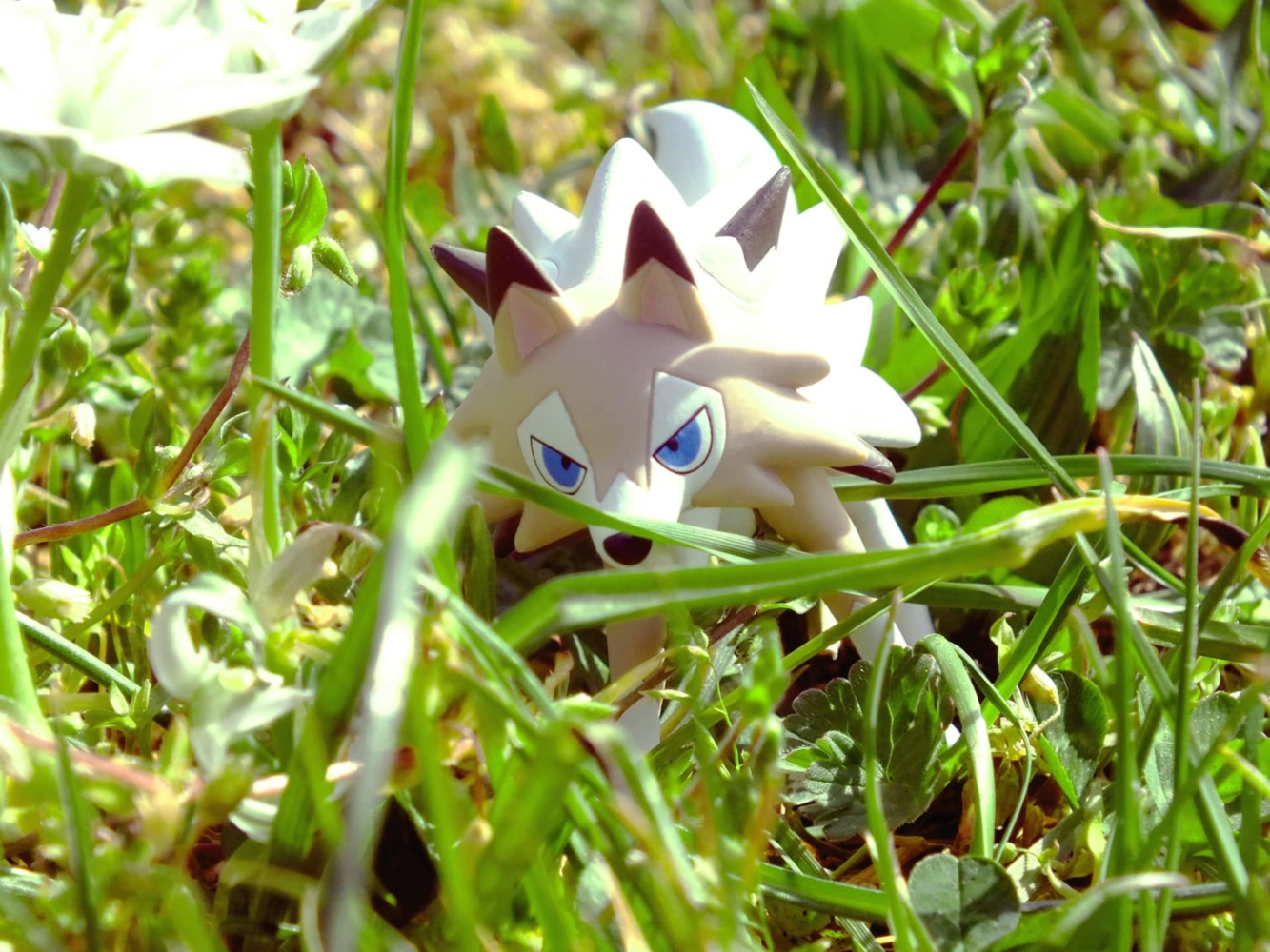 Estelle-Photographie présente une figurine Pokémon de Lugaroc prise par Estelle Autier.