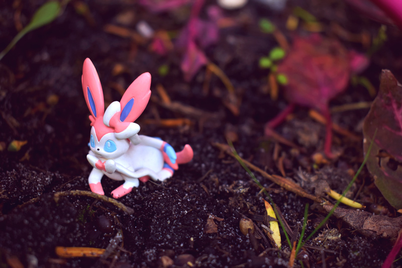 Photographie du Pokemon Nymphali. Figurine prise par Estelle-Photographie.