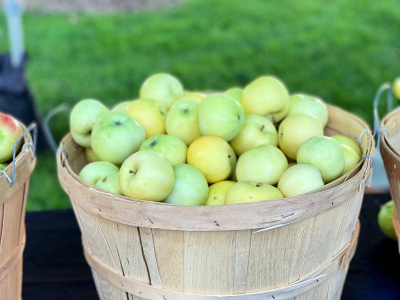 Green Apples from a Madison Orchard.