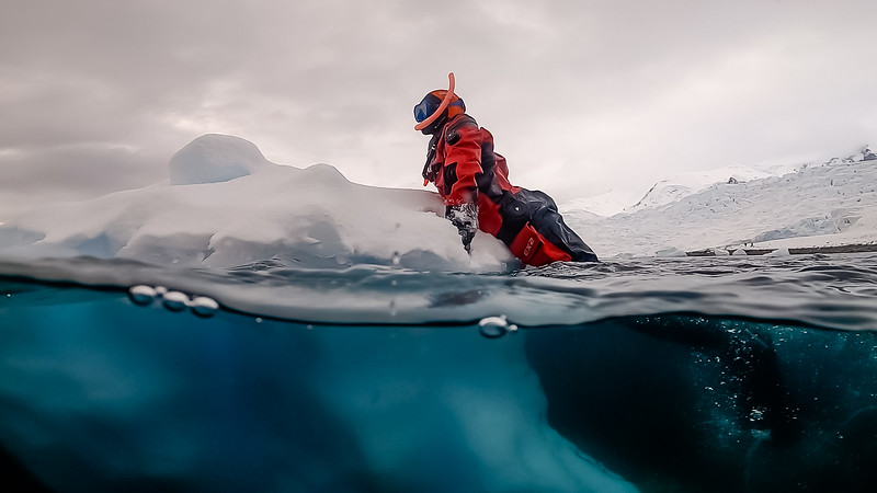 Snorkeler climbing on ice in Antarctica