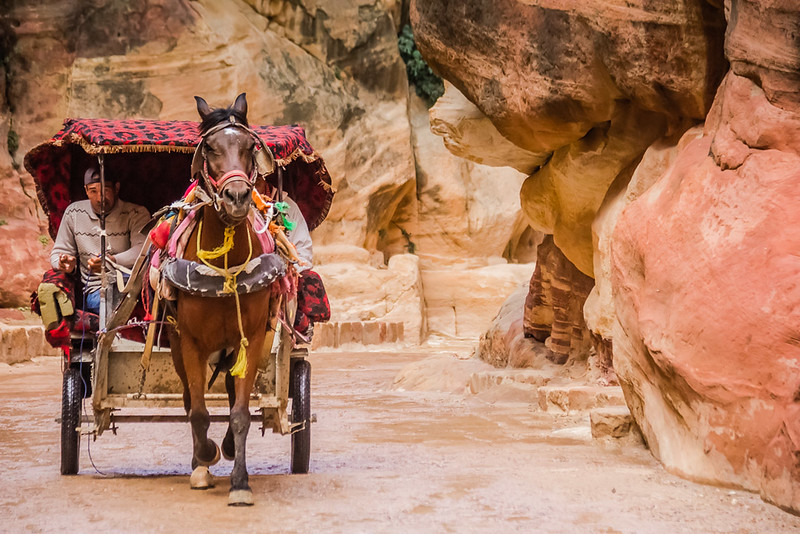 Local Horse Cart in Petra Jordan