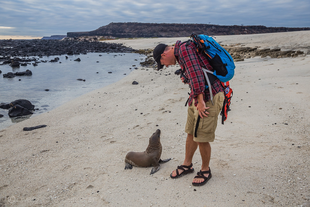 Sea lion pup with David Stock in the Galapagos Islands