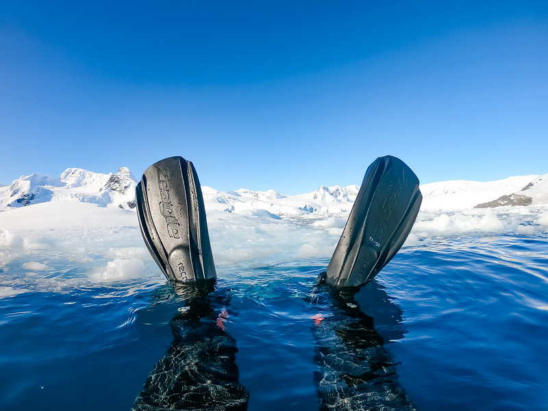 Lina Stock photographs her snorkel fins in Antarctica