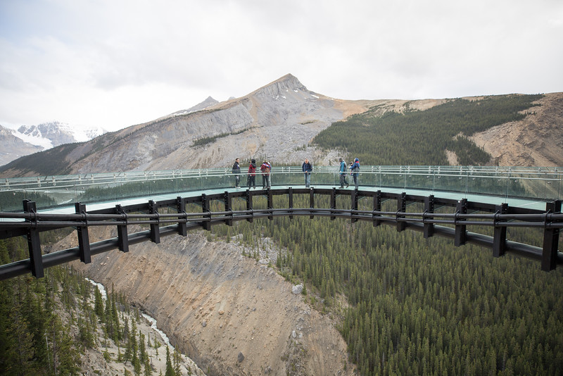 Skywalk along the Columbia Icefield