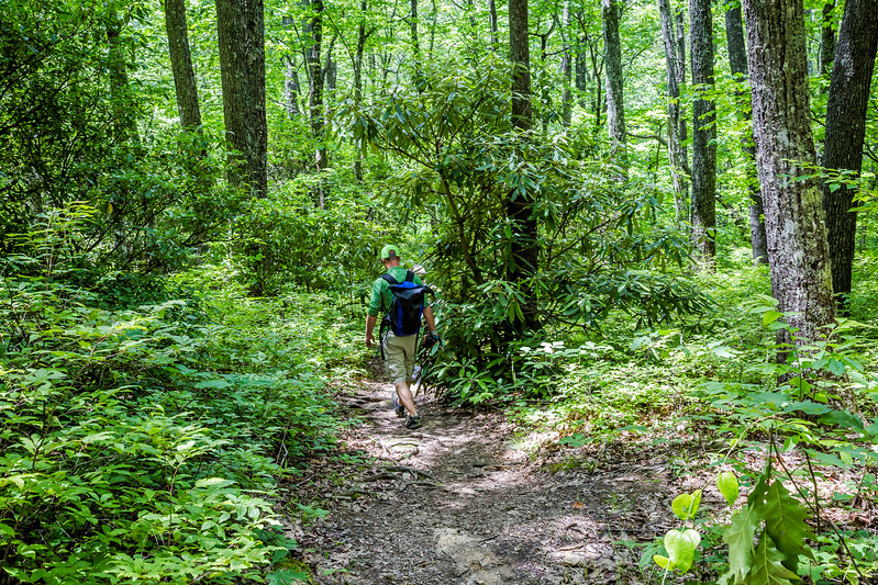 Adventurous Things To Do in Asheville, NC
