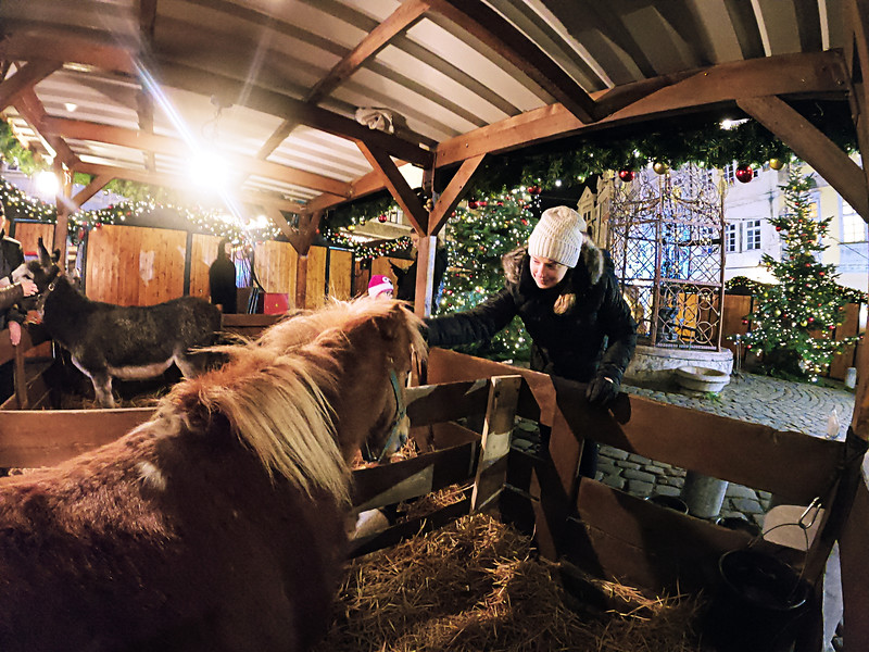 Lina Stock of Divergent Travelers Adventure Travel Blog petting a horse at the Jiřího z Poděbrad Christmas Market in Prague