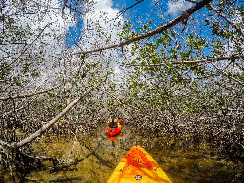 Florida Keys Kayaking - Big Pine Key