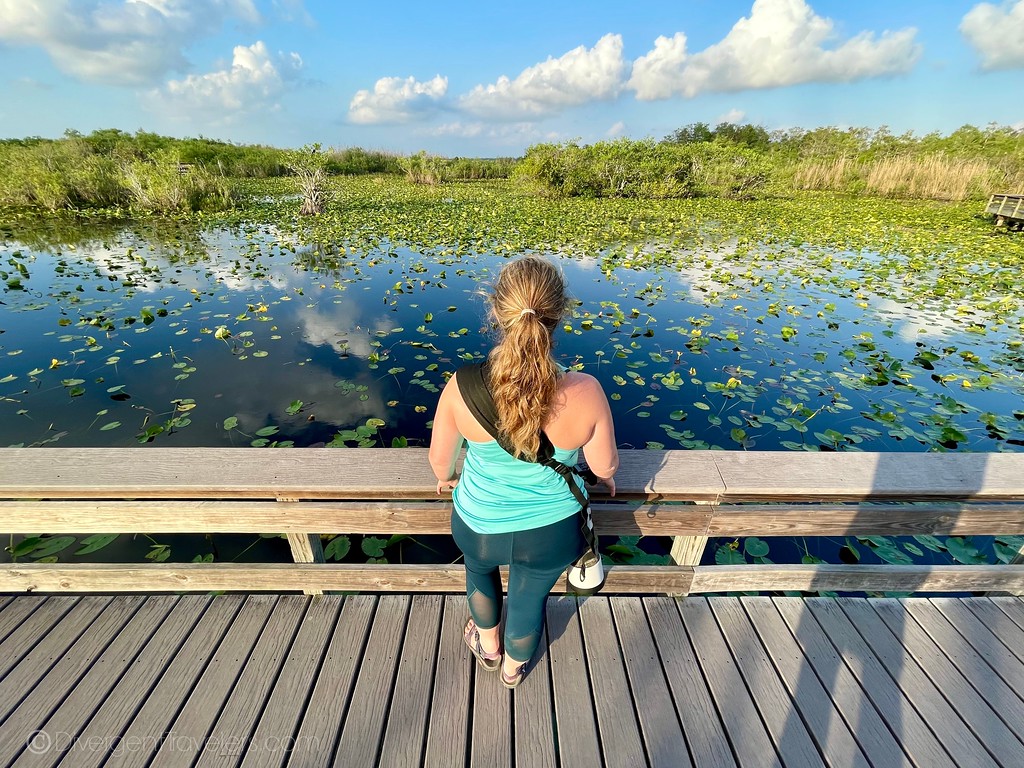 Lina Stock at Everglades National Park in Florida