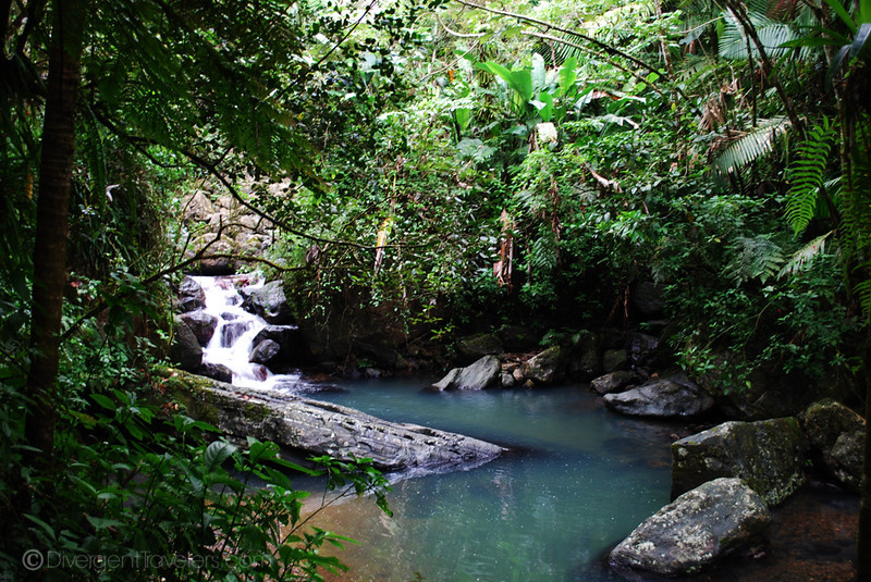 El Yunque National Park