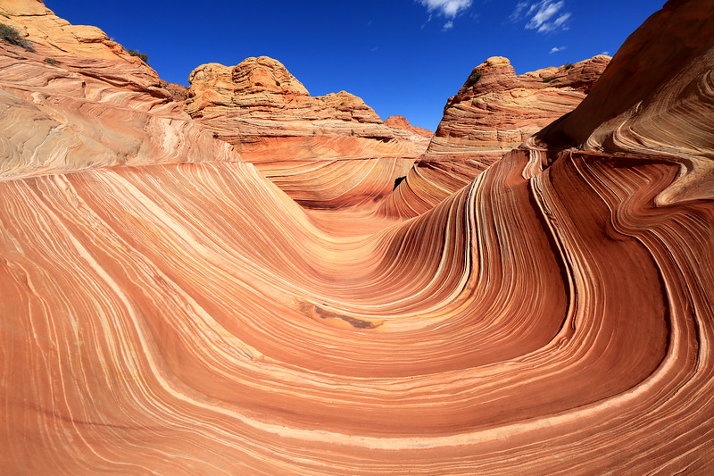 The Wave, Arizona, Canyon Rock Formation. Vermillion Cliffs, Paria Canyon State Park in the United States
