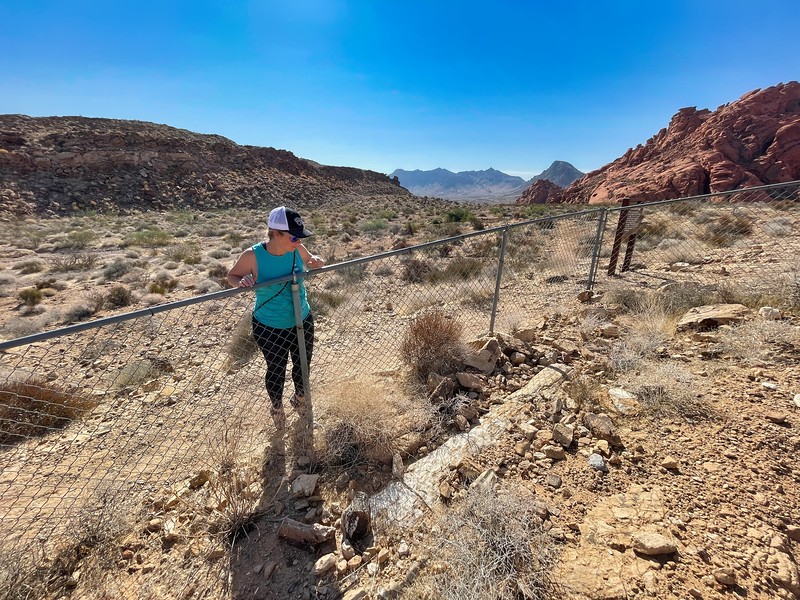Lina Stock of Divergent Travelers Adventure Travel Blog looking at petrified logs in Valley of Fire State Park Nevada.